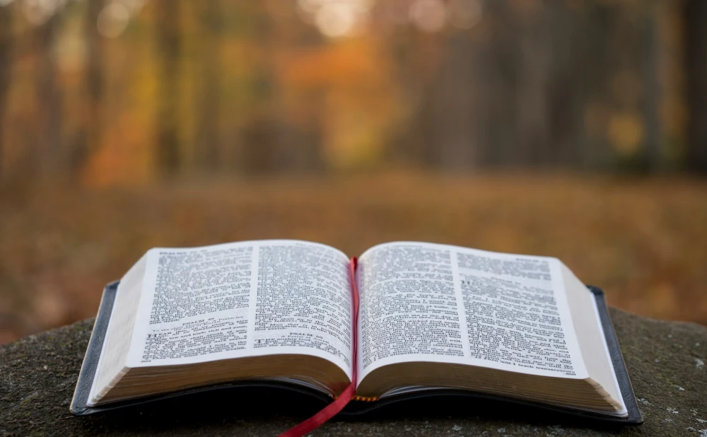 SVEĆENIK ODGOVARA Razlikuje li Biblija laki i smrtni grijeh?