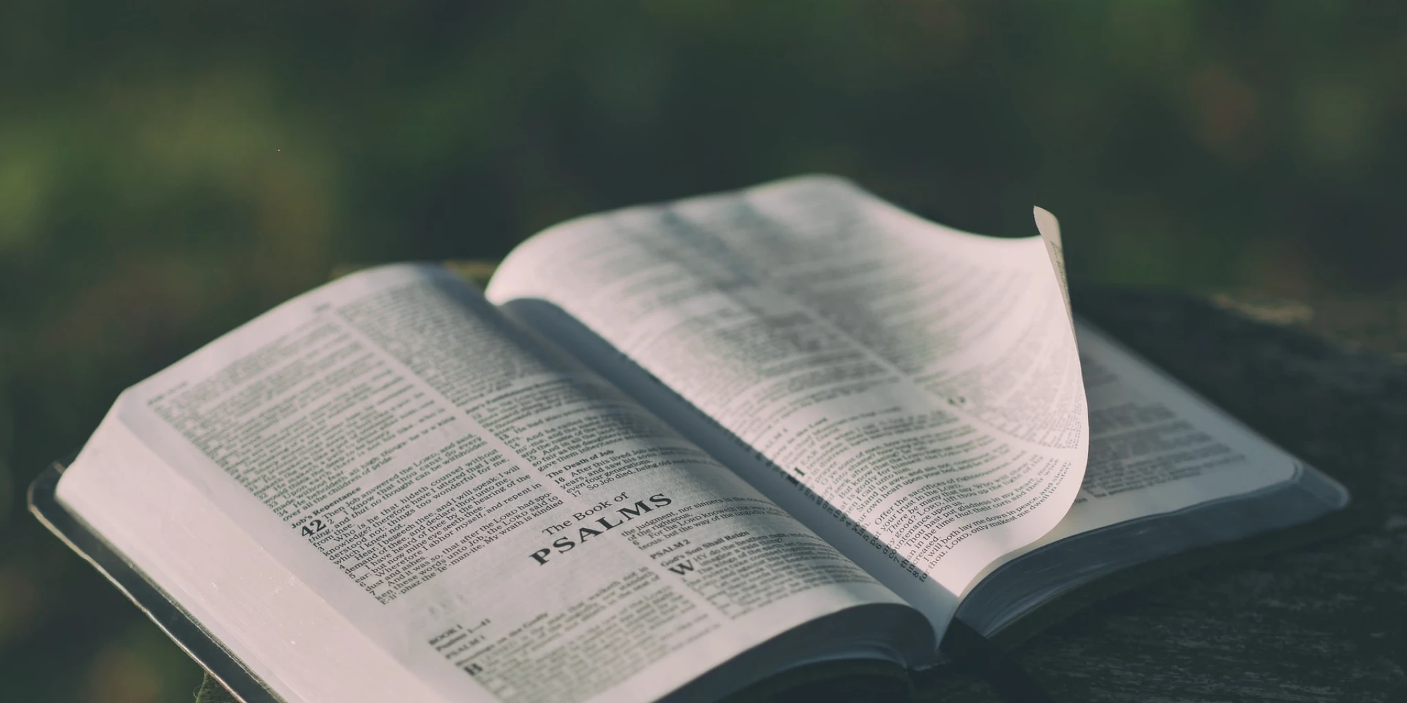 Psalam 51 – najbolja molitva koju možemo moliti u vrijeme osobnih i društvenih kriza