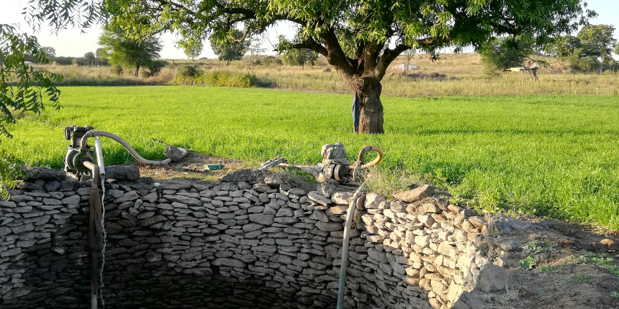 Kako je osamljeni redovnik ljudima otkrio smisao šutnje