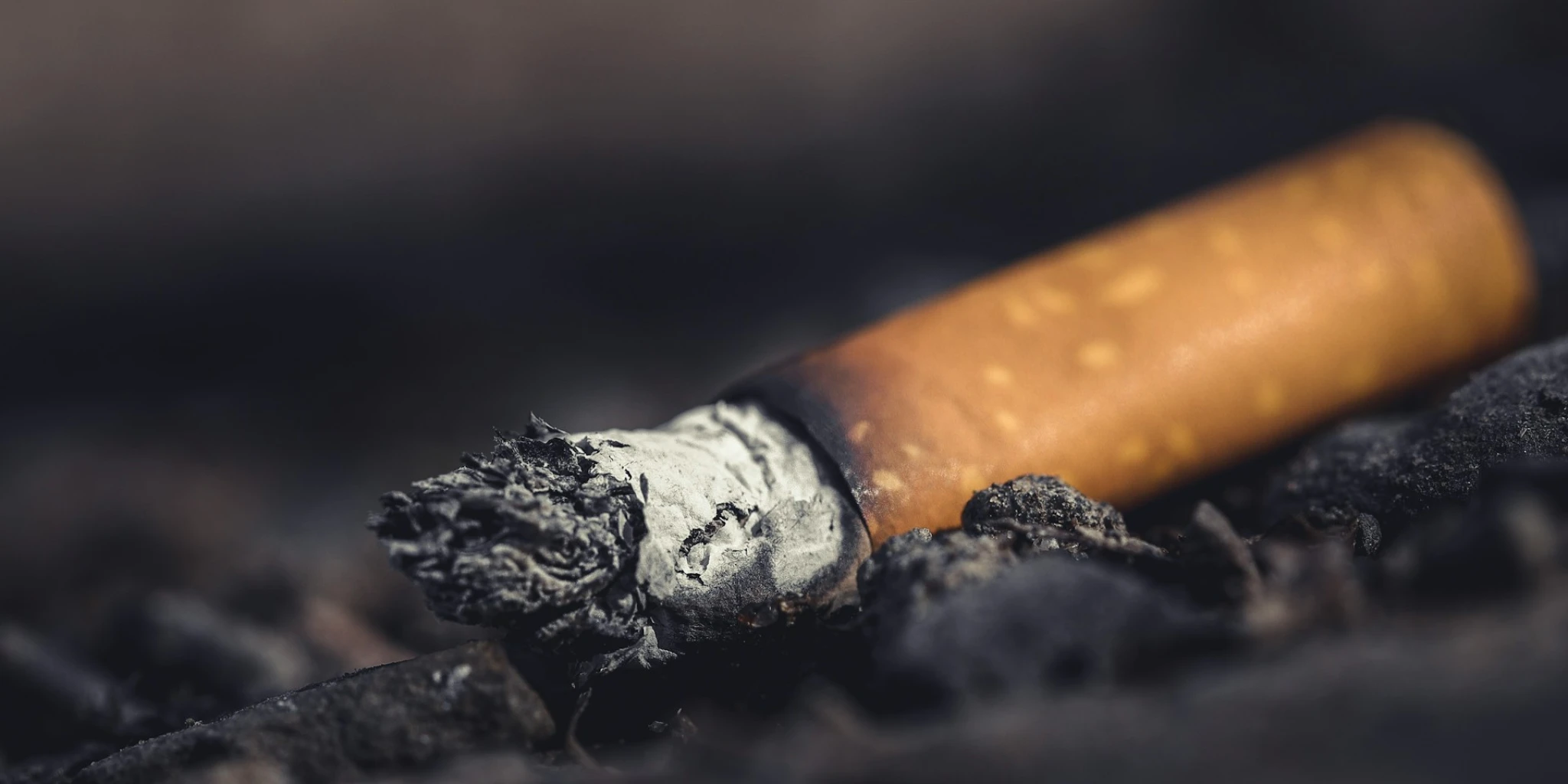 PLUĆA PAMTE: Ovo može spasiti život