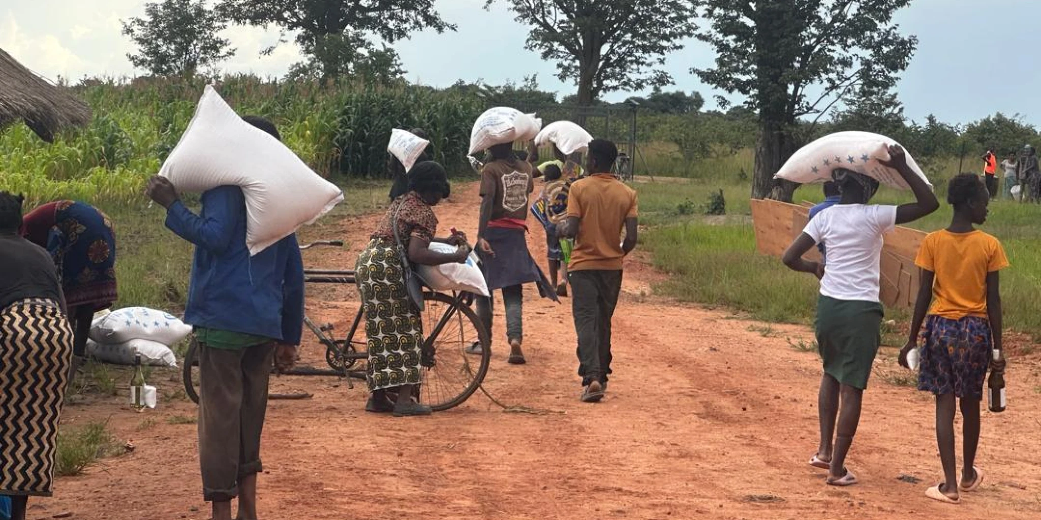 Molba hrvatskog misionara iz Zambije: Berba je zakazala, ubrat ćemo samo četvrtinu planiranog!