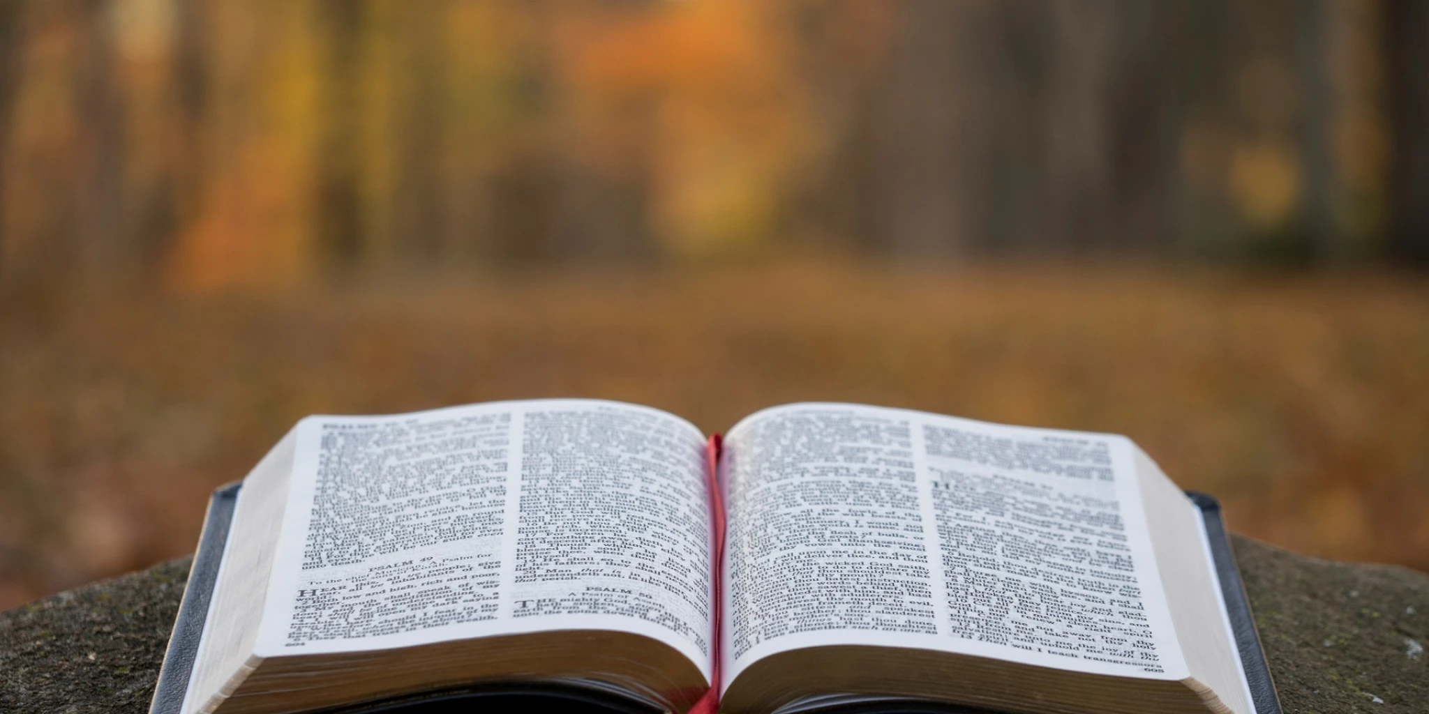 SVEĆENIK ODGOVARA Razlikuje li Biblija laki i smrtni grijeh?