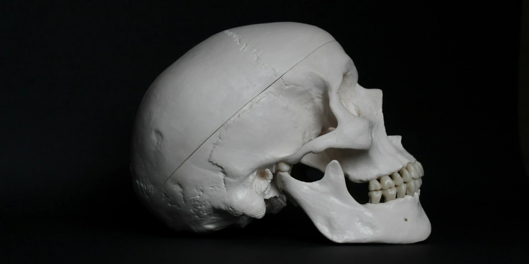 NIKADA NIJE KASNO Vratio ukradenu lubanju u katedralu nakon 60 godina!