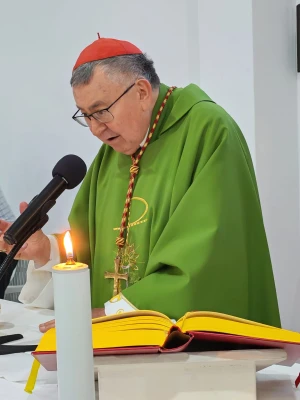 Kardinal Puljić posvetio preko 200 muškaraca Bezgrešnom Srcu Marijinu