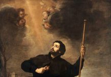 Franjo Ksaverski, isusovac i misionar