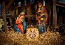 Veseljko Kralj: Mali Bog