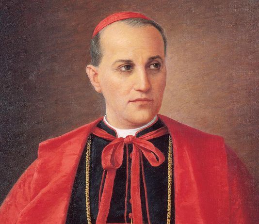 Kad nam otmu sve, sjetimo se Kardinala