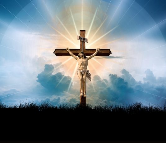 Zvonko Franc: Bože moj, zašto si ovo dopustio