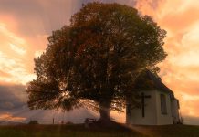 Sv. Franjo Ksaverski o jedinom pravom razlogu zašto trebamo ljubiti Boga