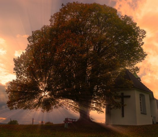 Sv. Franjo Ksaverski o jedinom pravom razlogu zašto trebamo ljubiti Boga