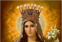 Pokrenuta mrežna stranica o krunici ”Ružarij.com”