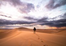 Veseljko Kralj: Hod kroz pustinju – život kao pokora