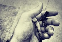 Damir Šiljeg: Krunica