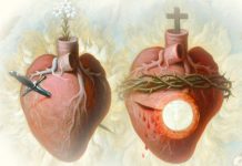 Himan Presvetom Srcu Isusovu i Bezgrešnom Srcu Marijinu