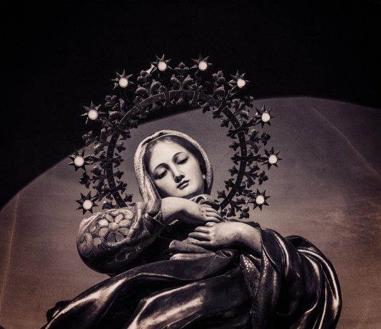 Damir Šiljeg: Blažena Djevica Marija