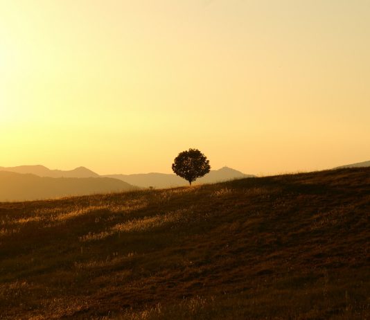 Ništa se ne može dogoditi što Bog ne bi htio