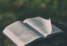 Psalam 51 – najbolja molitva koju možemo moliti u vrijeme osobnih i društvenih kriza