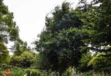 Kako se riješiti loših navika?