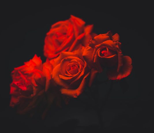 Gospine ruže i sveta misa