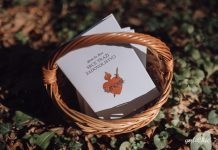 Gloria La Marr: Srce probodeno mačem preobražava srca svojih čitatelja