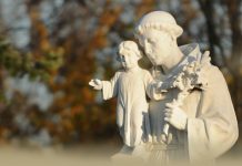 Sv. Antun Padovanski – franjevac, propovjednik, crkveni naučitelj