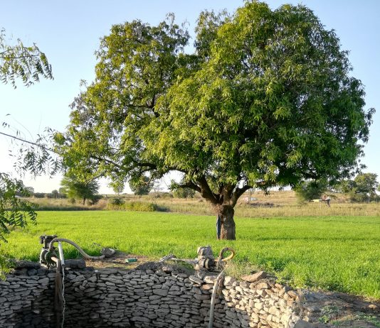 Kako je osamljeni redovnik ljudima otkrio smisao šutnje