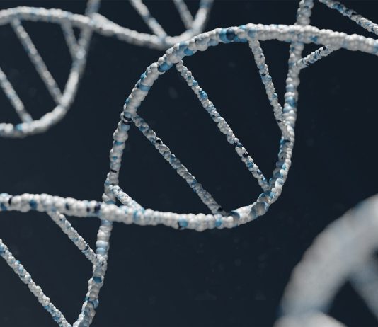 ŠTO JE SLJEDEĆE? Uz umjetnu oplodnju i – genetski inženjering