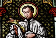 Sv. Alojzije Gonzaga – talijanski isusovac i zaštitnik mladeži