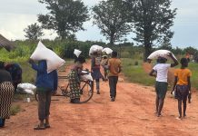 Molba hrvatskog misionara iz Zambije: Berba je zakazala, ubrat ćemo samo četvrtinu planiranog!