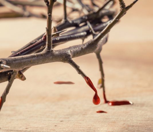 Molitva Predragocjenoj Krvi Kristovoj za zaštitu od zla i bolesti