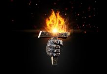 OSVRT NA KONCERT Po plodovima ćete ih prepoznati