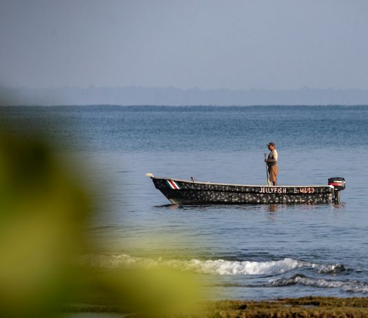 A što misliš da sada radim?