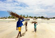 Džihadisti su oteli preko 120 djece. Pretvorit će ih u svoje nemilosrdne borce.