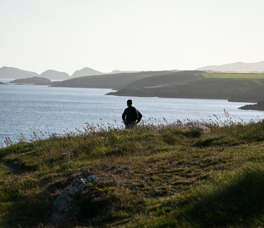 Mladiću, zašto si tako nestrpljiv?