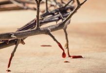 Molitva Krvi Kristovoj za oslobođenje od duha bluda i požude