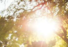 Zašto je opasno nekoga za života proglasiti svetim?