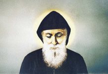 Novo čudo sv. Šarbela