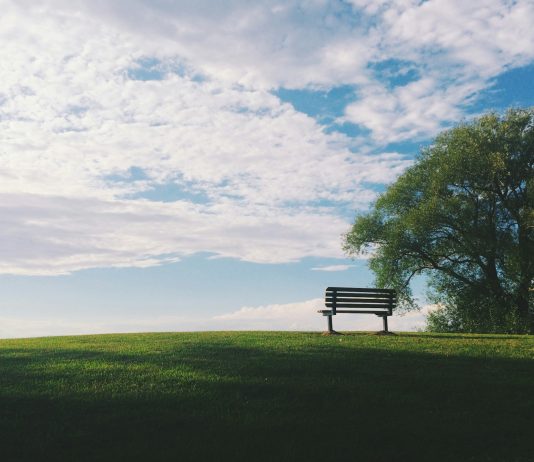 Čovjek – čudno biće