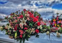 Niti jedna od ovih pornoglumica nije umrla lijepom, a ni prirodnom smrću