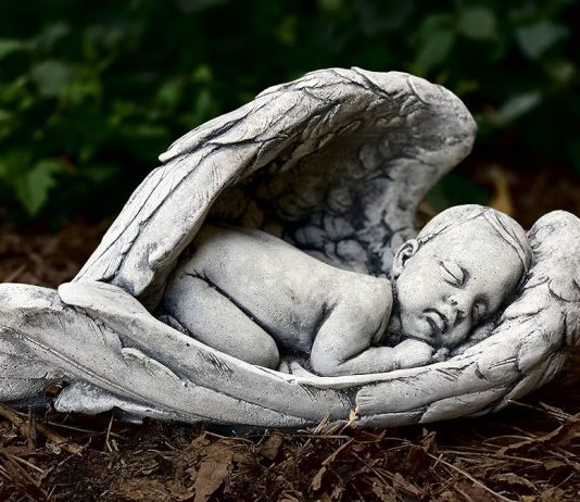 Mala krunica svetih anđela čuvara za spas nerođenih