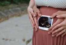 RAZVOJ FETUSA Koje su faze?