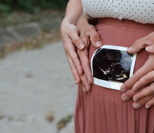 RAZVOJ FETUSA Koje su faze?