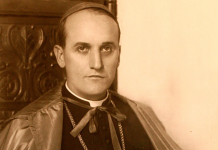 Bl. Alojzije Stepinac: Bog nas poziva da sudjelujemo s milošću