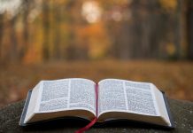 SVEĆENIK ODGOVARA Razlikuje li Biblija laki i smrtni grijeh?