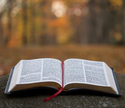 SVEĆENIK ODGOVARA Razlikuje li Biblija laki i smrtni grijeh?