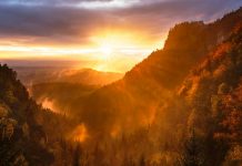 Kako jutarnja molitva oblikuje dan?