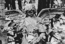 Sveti anđeli čuvari