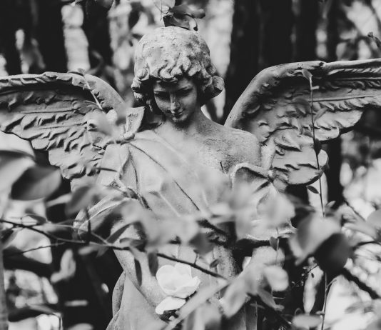 Sveti anđeli čuvari