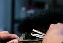 Želite gušću kosu? Ove namirnice čine čuda!