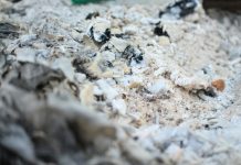 KRŠĆANSKA TRADICIJA SPROVODA Je li dopušteno razbacivati pepeo pokojnika?